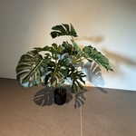 Kunstplant Colours&Green, Plant Split Philo